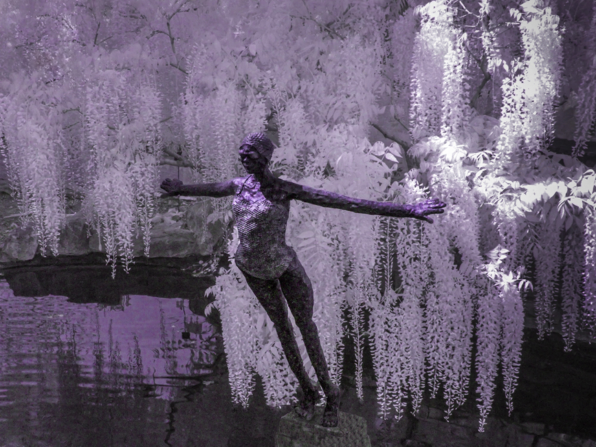 WI869 RHS Wisley 29 05 23